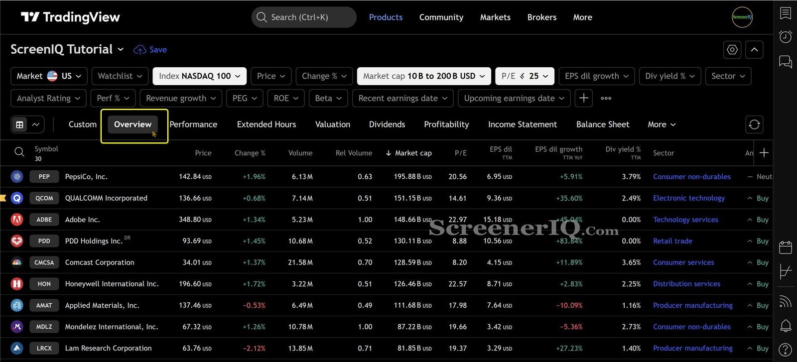 overview view of stock screener